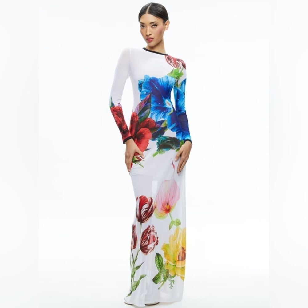Alice + Olivia Multicolor Floral Long Sleeve Dress